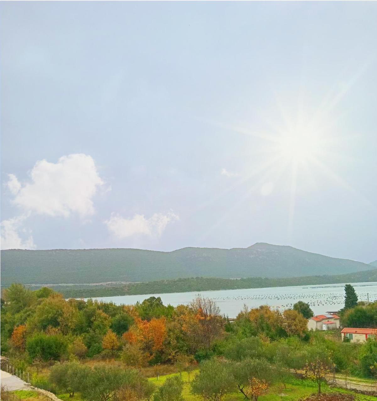 Maslina Apartment Ston